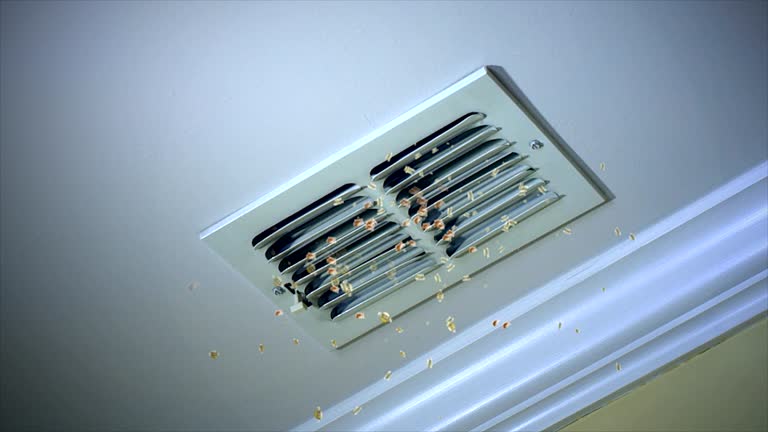 Best Affordable HVAC Duct Cleaning  in Lovington, IL
